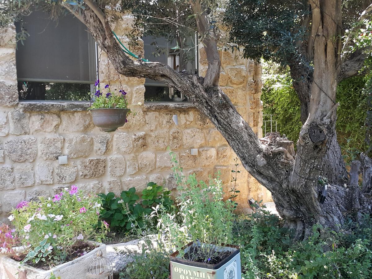 Hotel The House Of Taly & Erez à Netaim Extérieur photo
