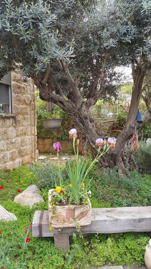 Hotel The House Of Taly & Erez à Netaim Extérieur photo