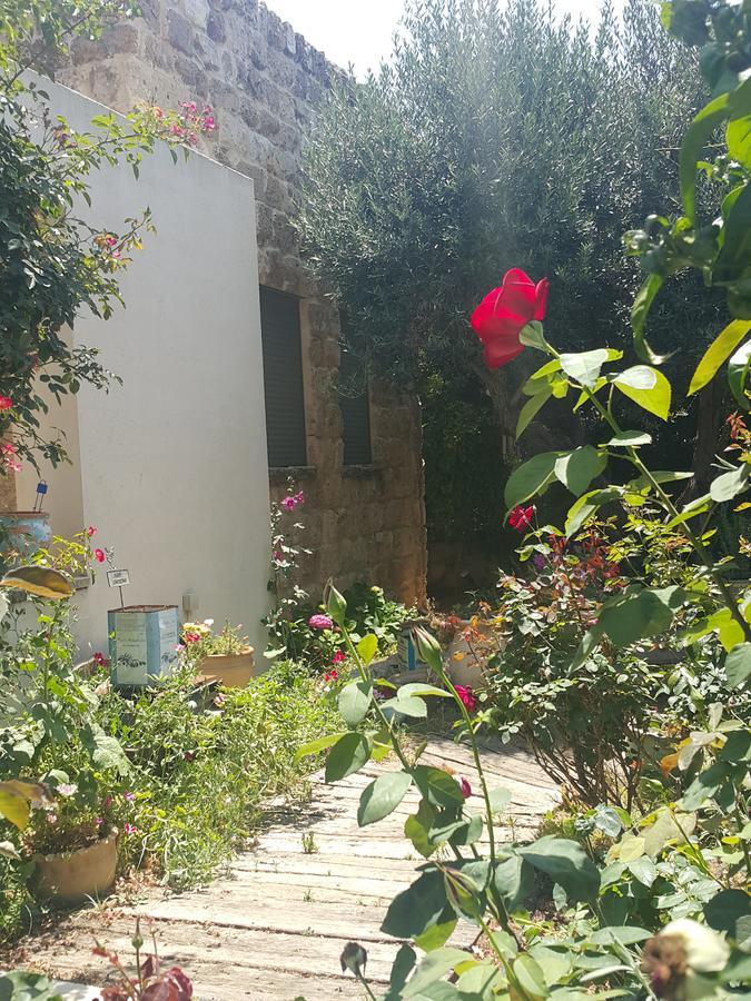 Hotel The House Of Taly & Erez à Netaim Extérieur photo